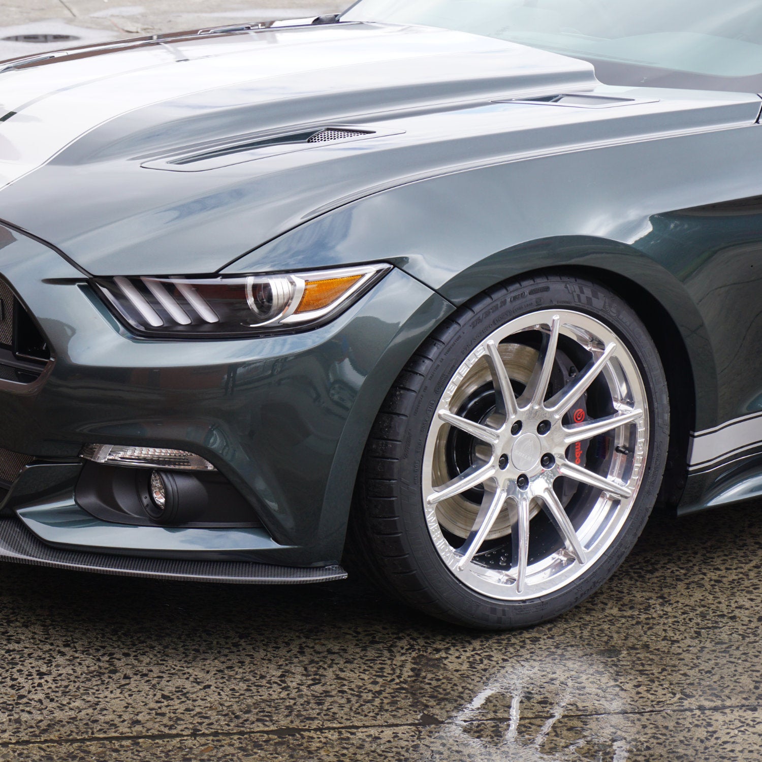 Shelby 2015-24 Venice Forged Wheel Set