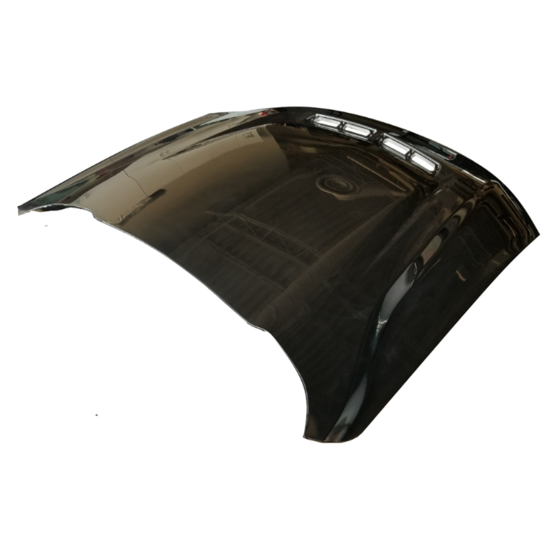 Shelby 2018-23 GT Hood