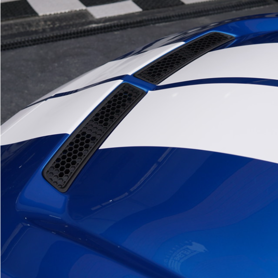 Shelby 2018-23 GT Hood