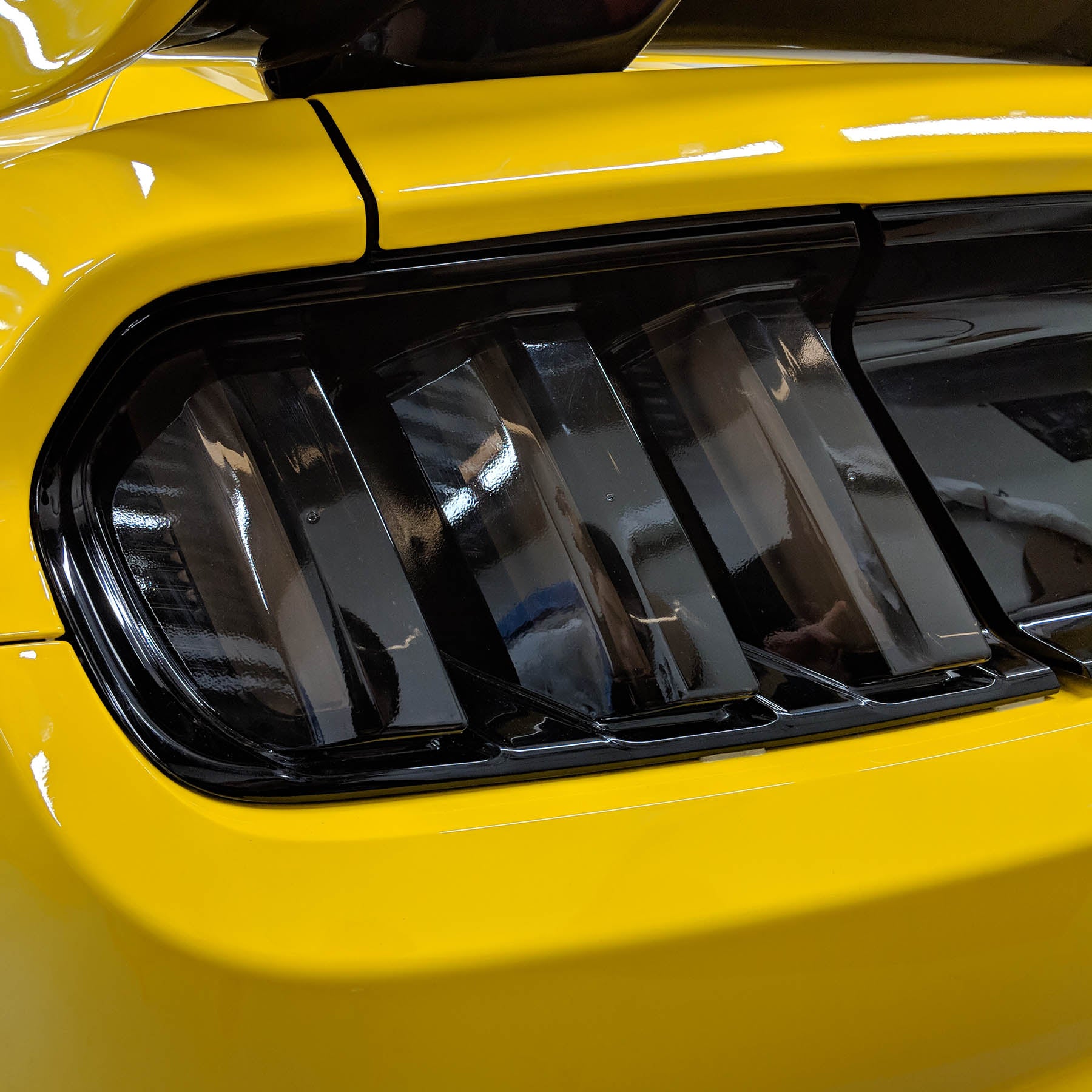 Mustang Motorsport 2015-17 Tail Light Tint - Smoked Fitted