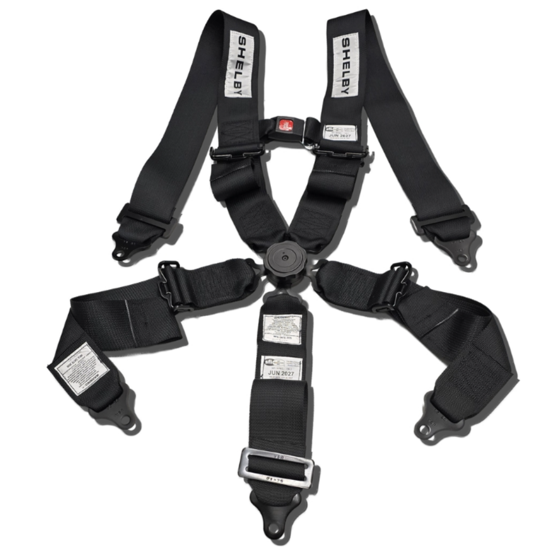 Shelby 5-Point Harness - Black