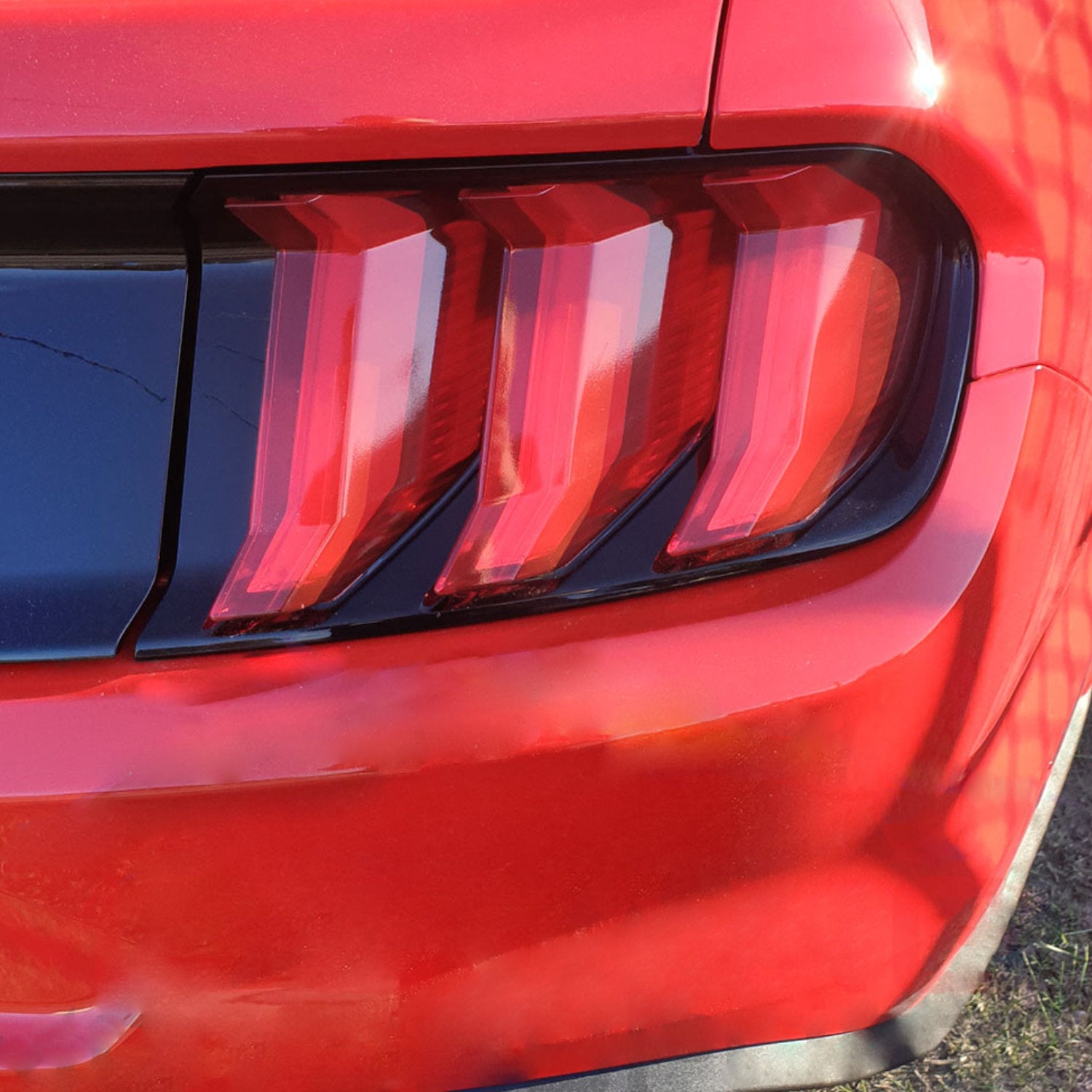 Mustang Motorsport 2018-22 Tail Light Tint - Red Fitted