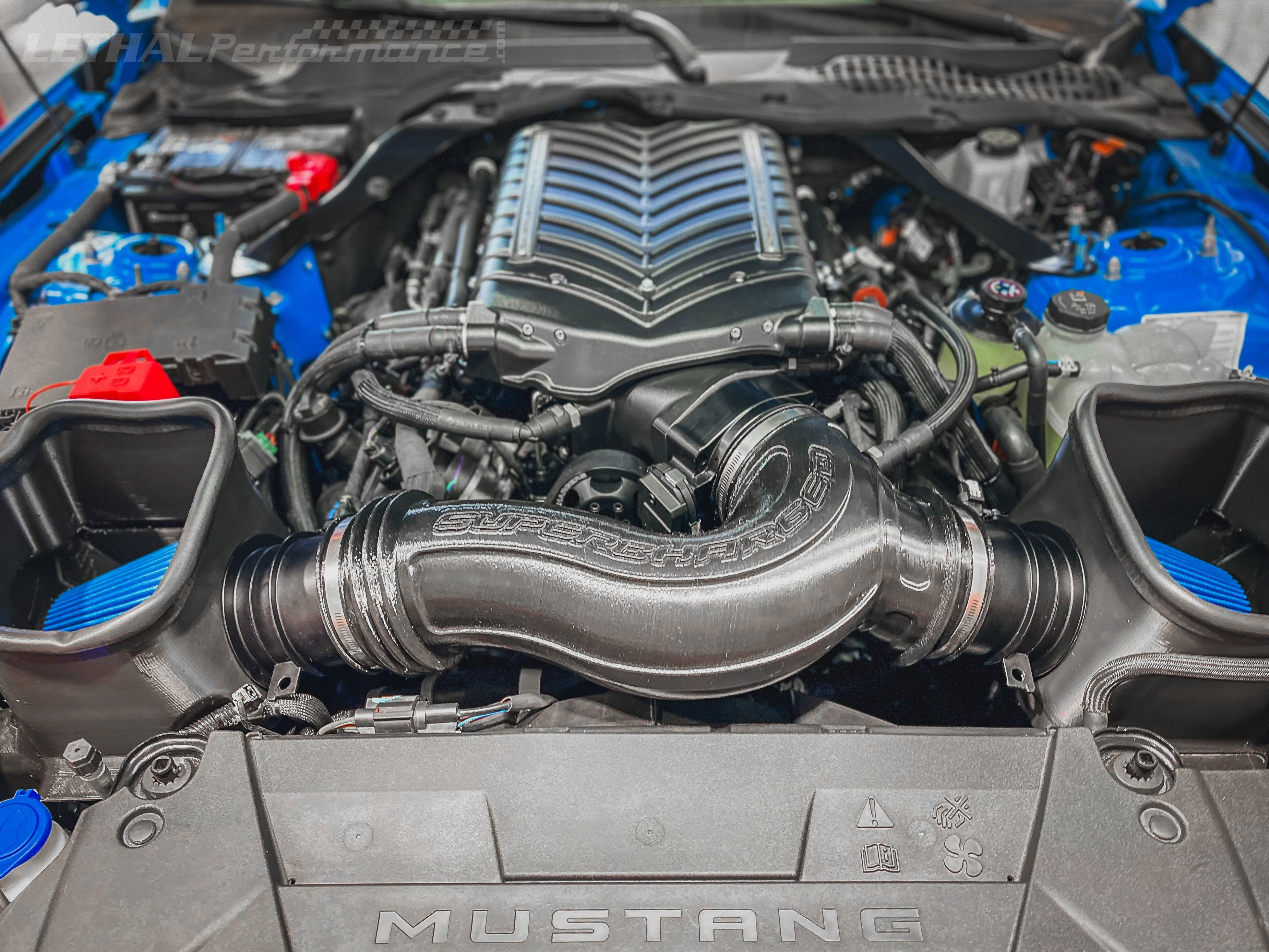 THE NEW WHIPPLE SUPERCHARGER KIT FOR THE 2024 MUSTANG S650!!
