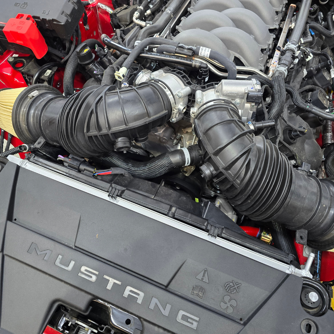 Mustang Motorsport 2024+ Mustang Radiator