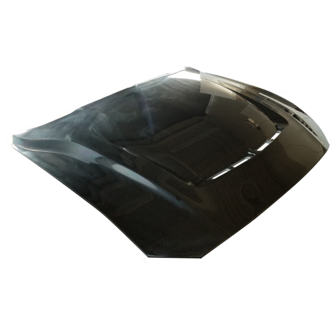 Shelby 2018-23 GT Hood