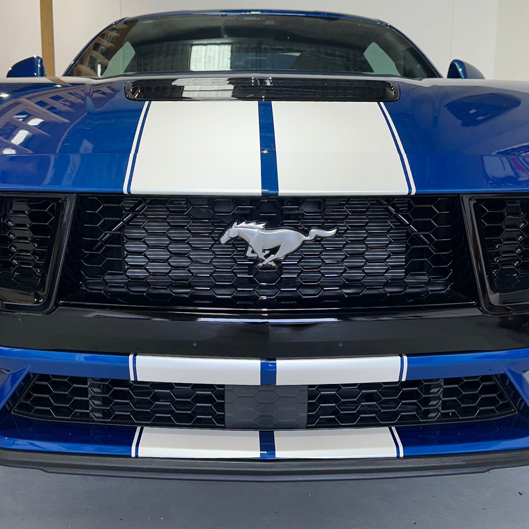 Mustand Racing Racing Stripes Mustang Motorsport Stripes - Fitted