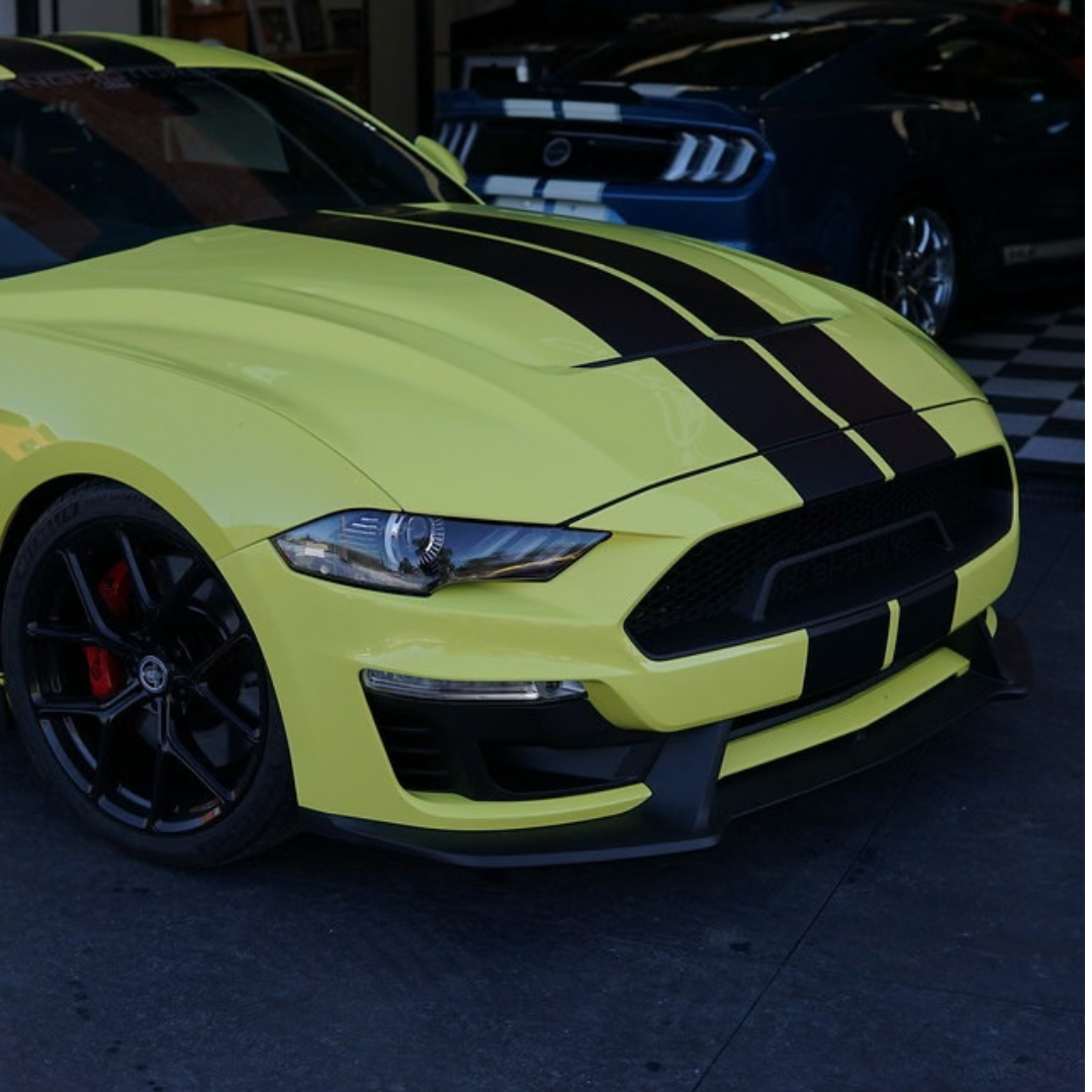 Shelby 2018-23 GT Hood