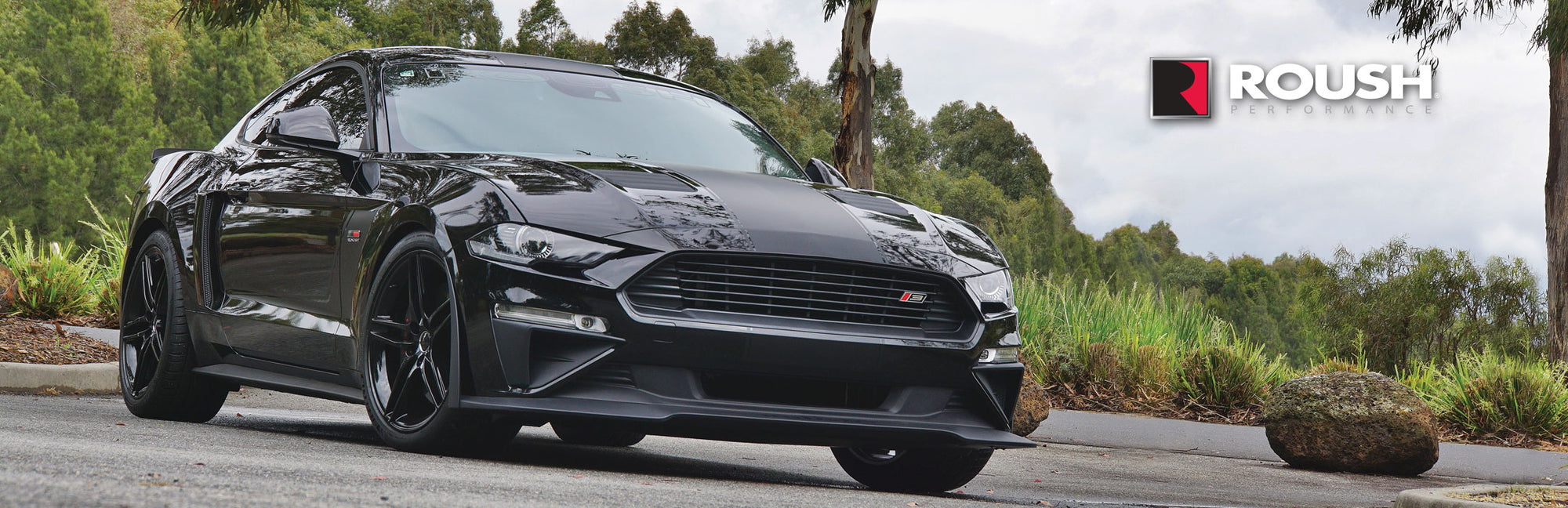 Modzilla Roush 2019 ROUSH STAGE 3 MUSTANG