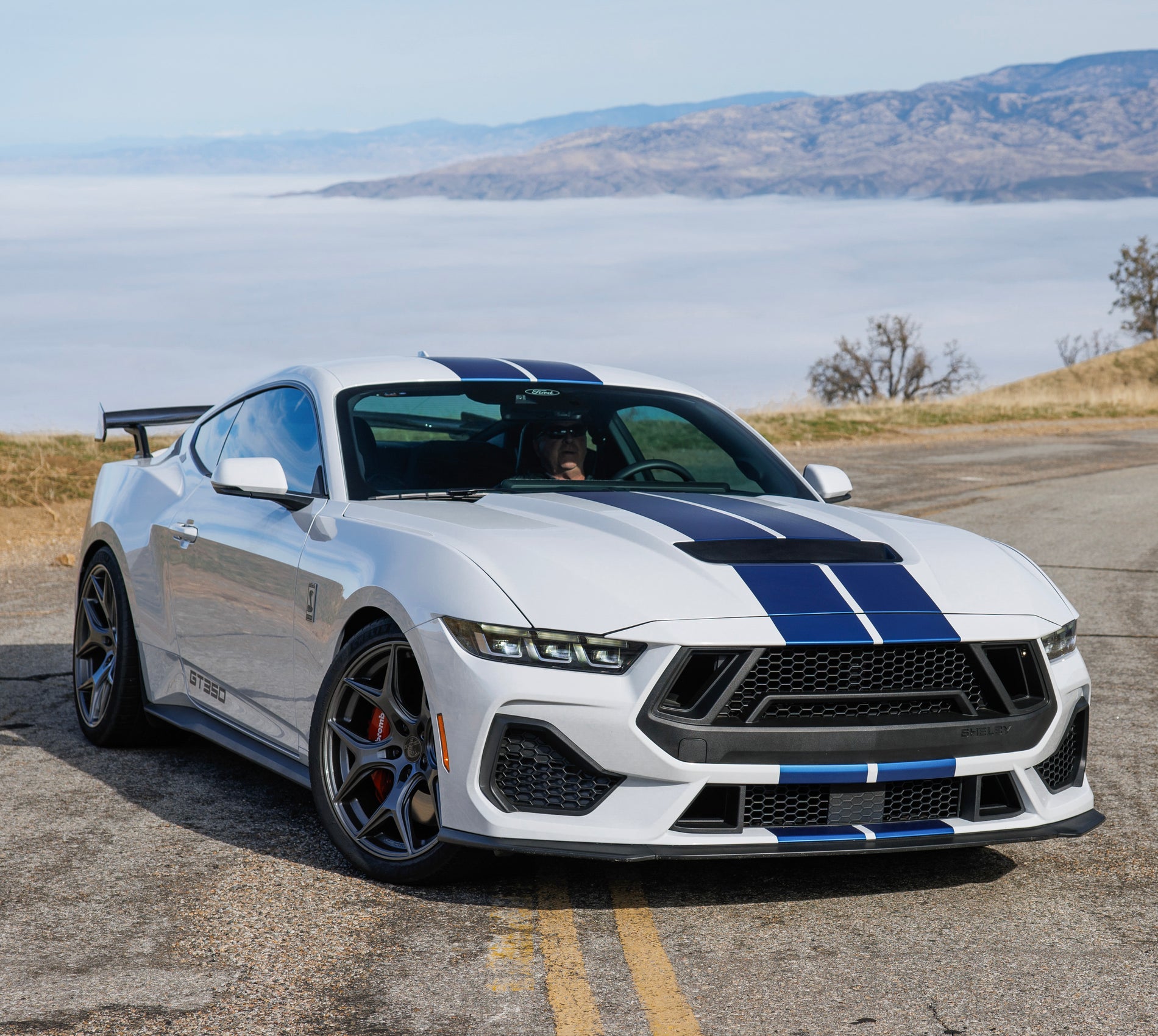 TOP SHELBY main image 1