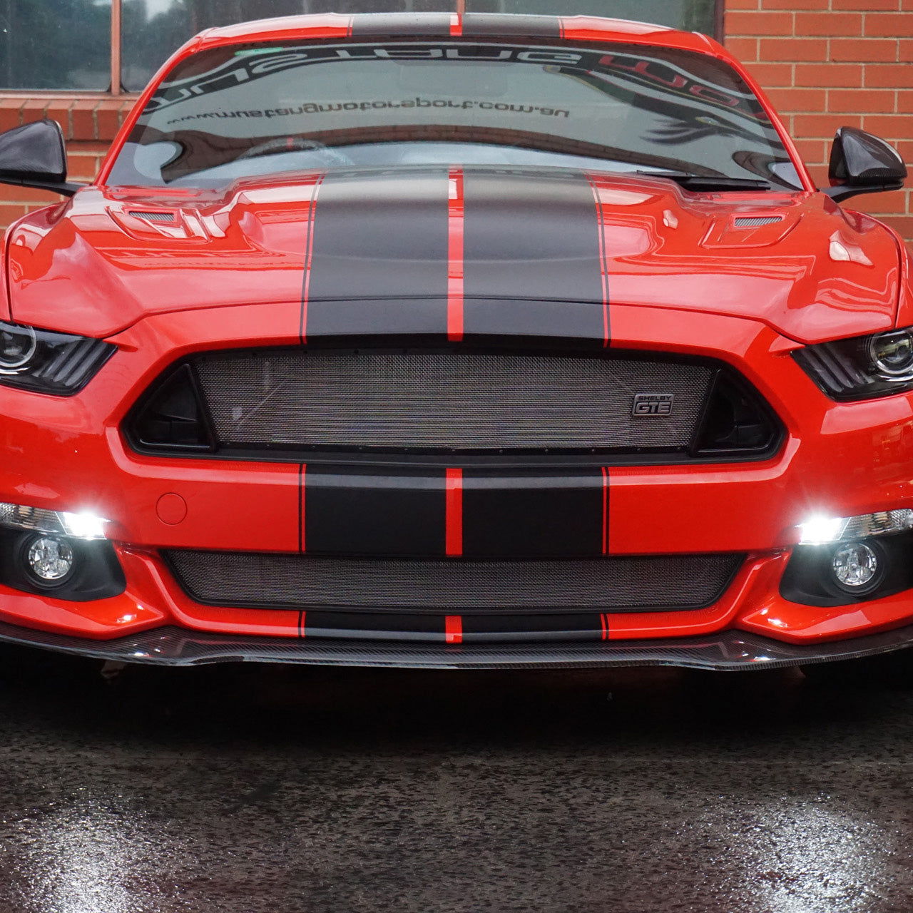 Mustang Motorsport Shelby Super Snake Style Stripe Kit - Fitted