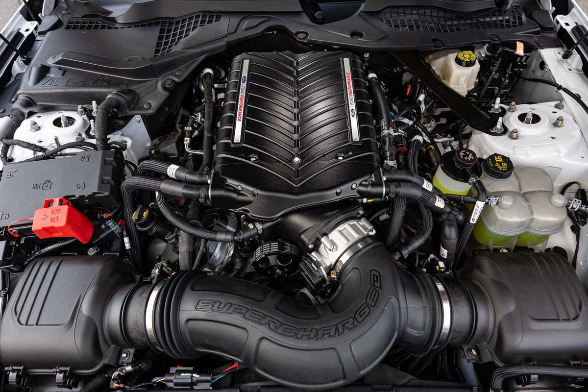 Ford Rtr Engine 2024 RTR SPEC 3
