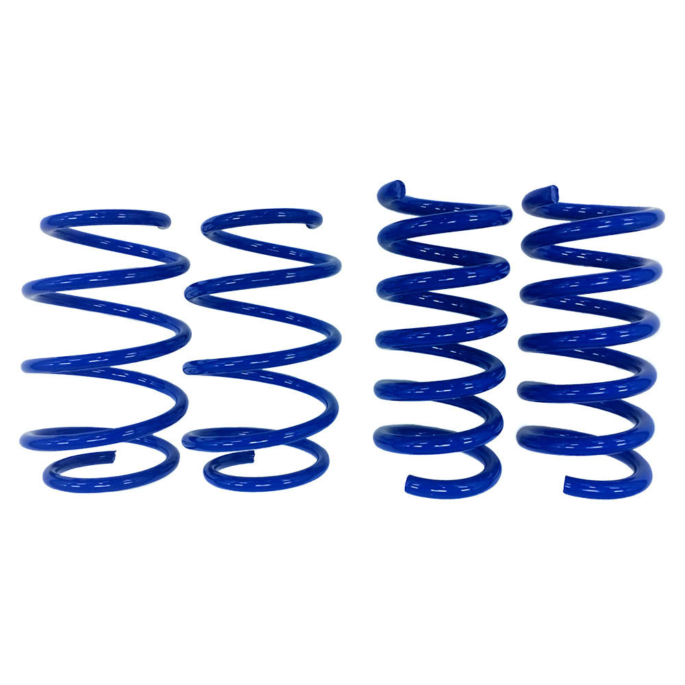 Steeda 2015-23 EcoBoost Sport Springs - Linear