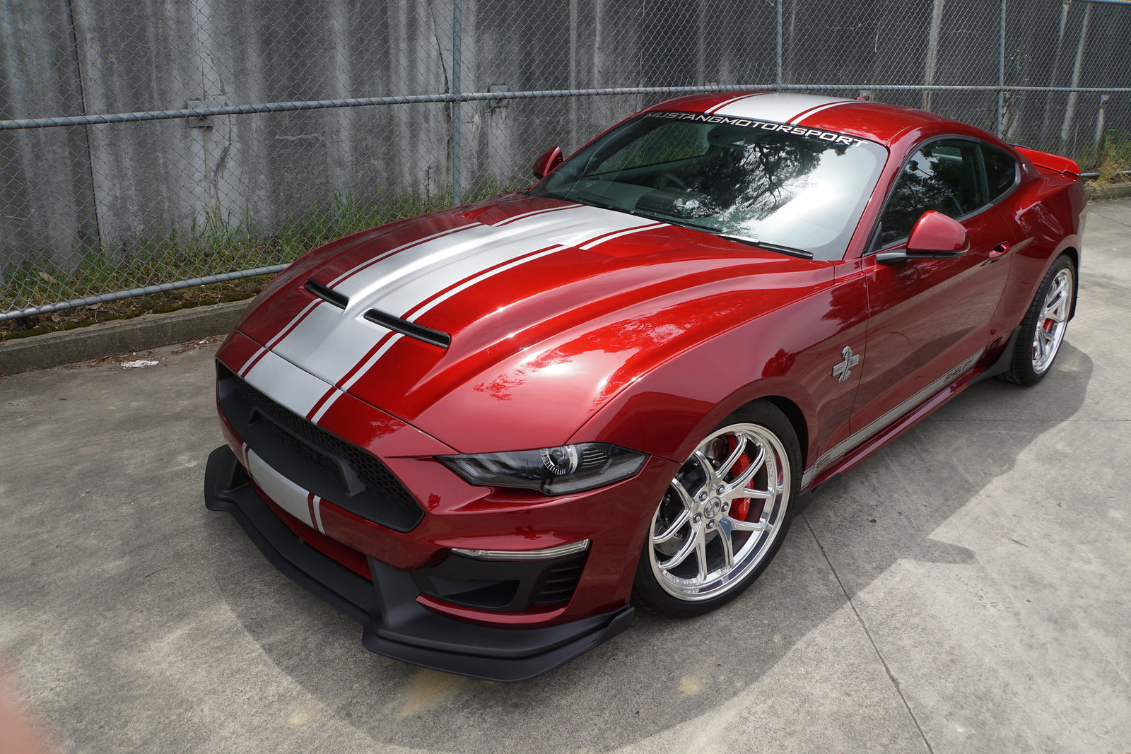 Mustang Motorsport Shelby Super Snake Style Stripe Kit - Fitted